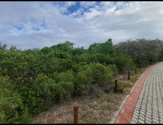 827M² VACANT LAND FOR SALE IN HEROLDS BAY
